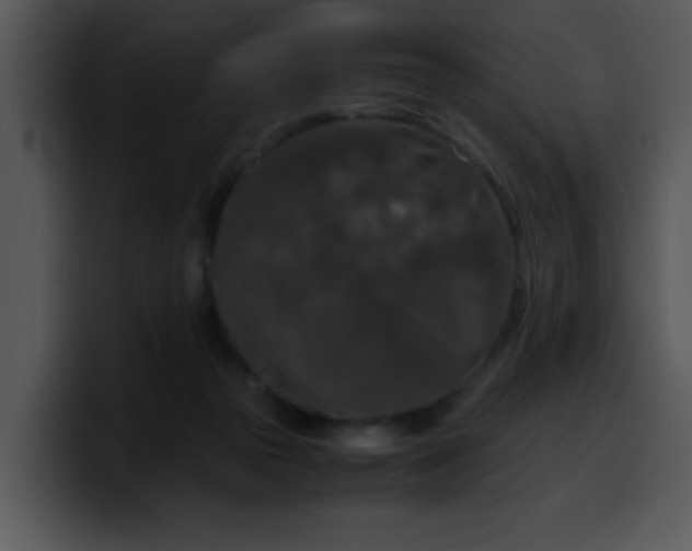 X0000099990169200806061551