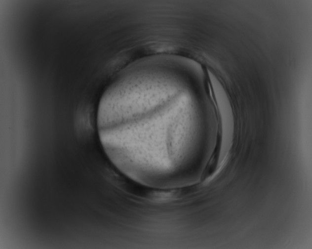 X0000099990170200806061551