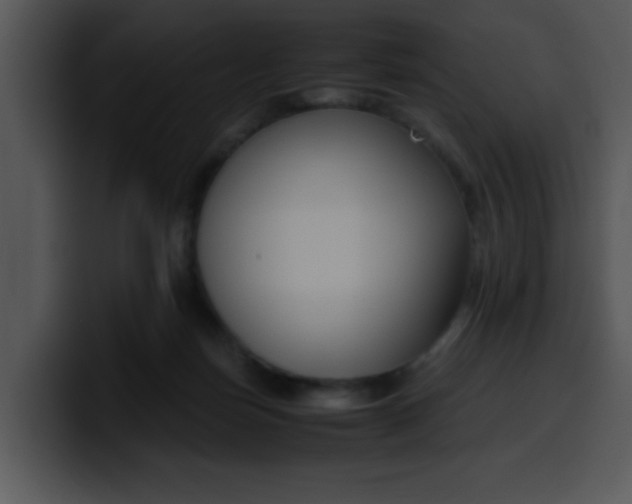 X0000099990171200806061551