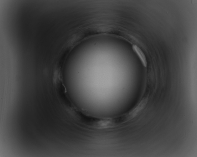 X0000099990172200806061552