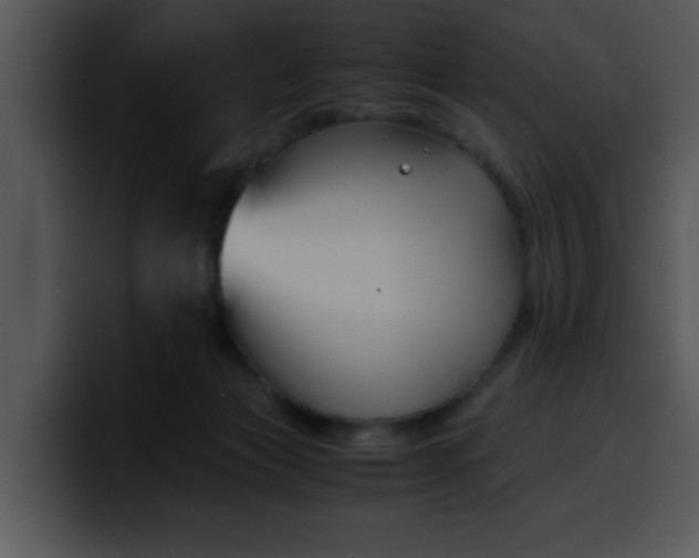 X0000099990173200806061552