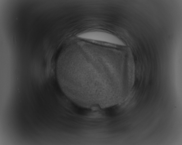 X0000099990175200806061552