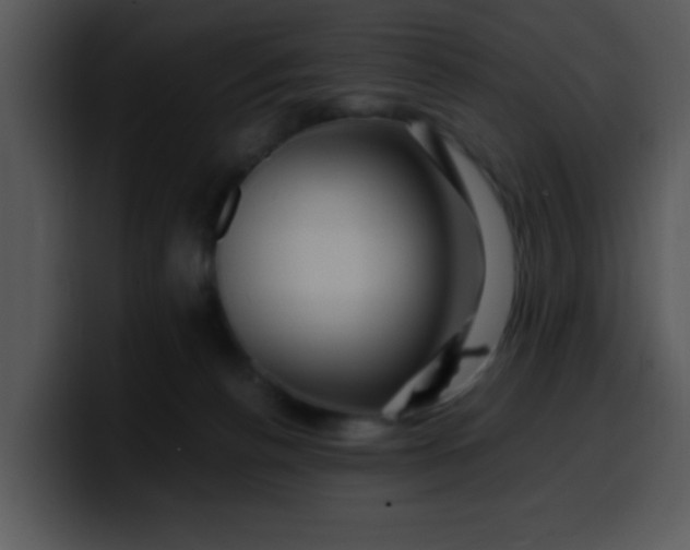 X0000099990176200806061552