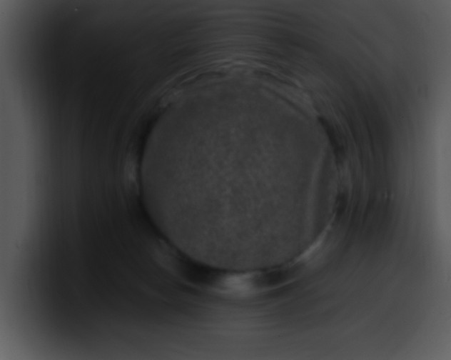 X0000099990178200806061552