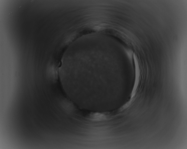 X0000099990180200806061552