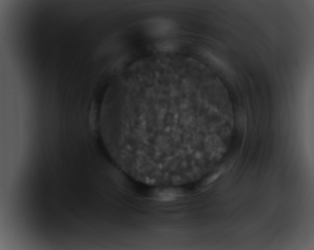 X0000099990181200806061552