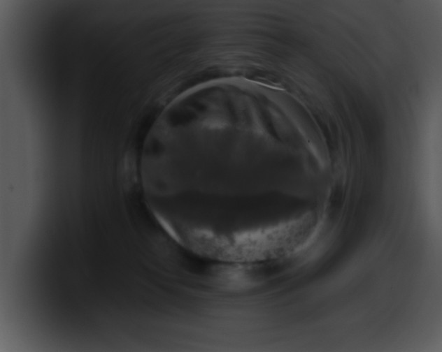 X0000099990182200806061552