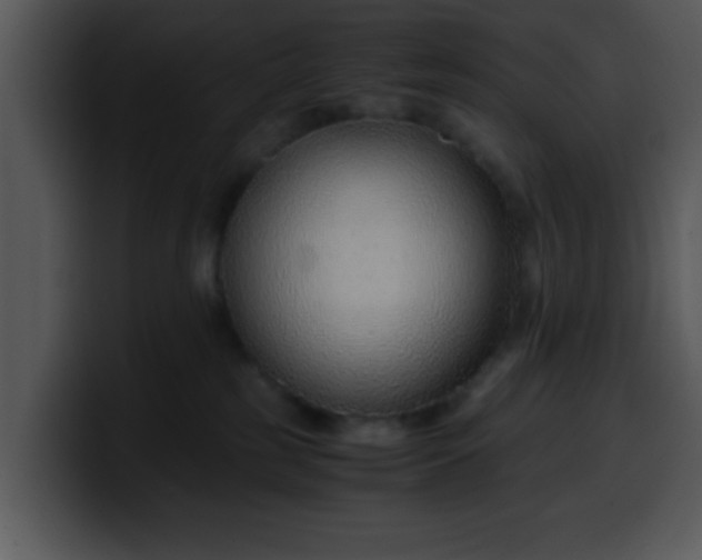 X0000099990185200806061552