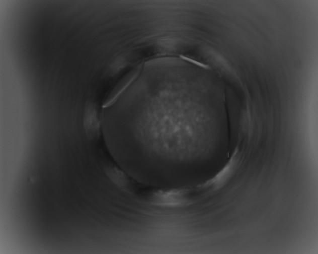 X0000099990186200806061552