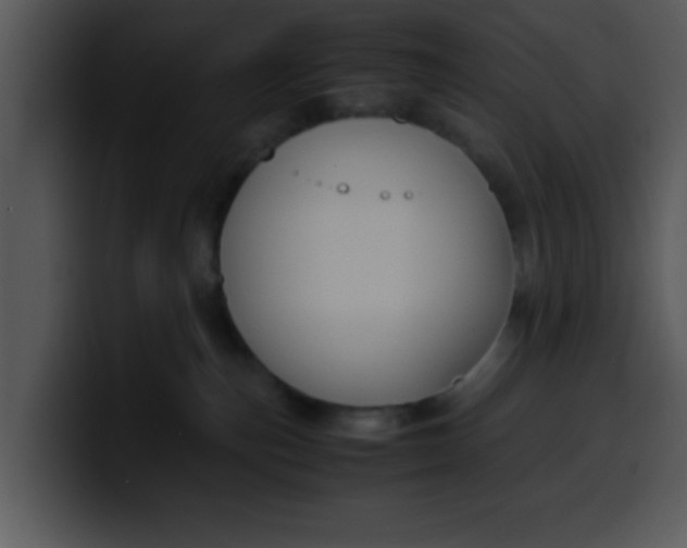 X0000099990187200806061552