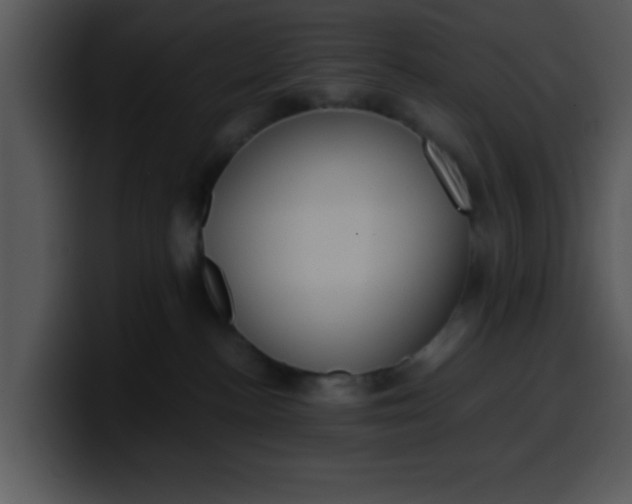 X0000099990188200806061552