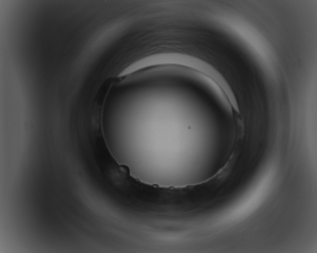 X0000099990190200806061552