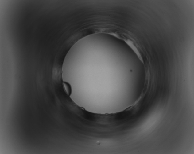 X0000099990191200806061552