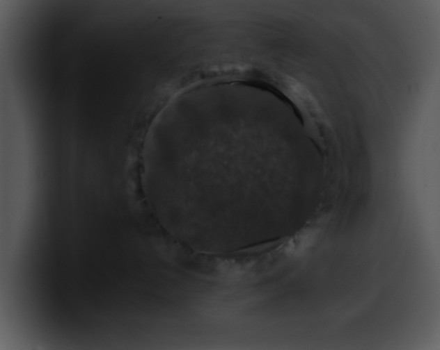 X0000099990192200806061552