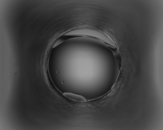 X0000099990193200806061551