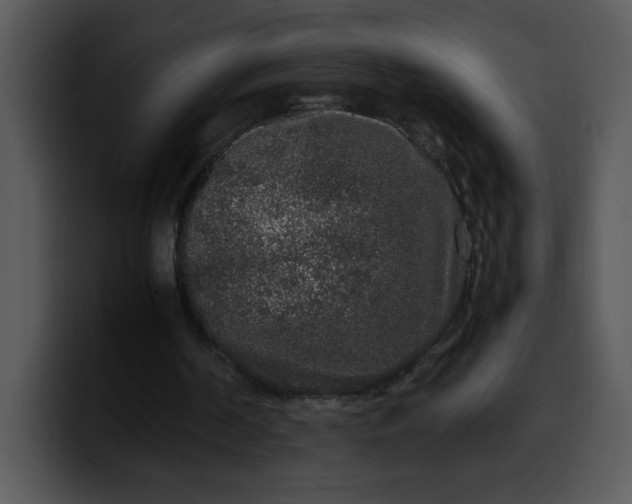 X0000099990194200806061551