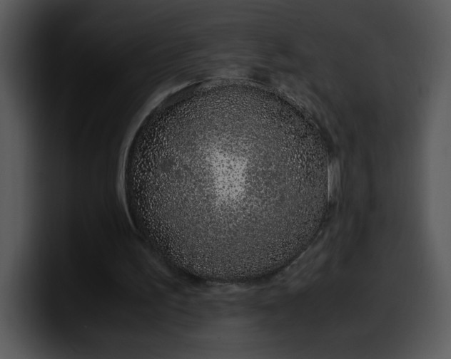 X0000099990195200806061551