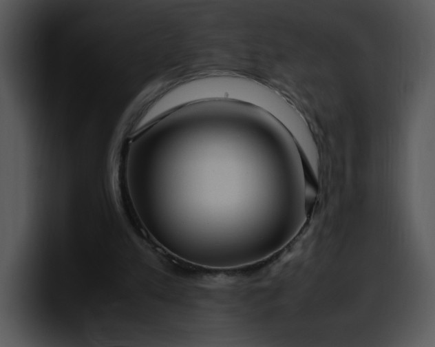 X0000099990197200806061551