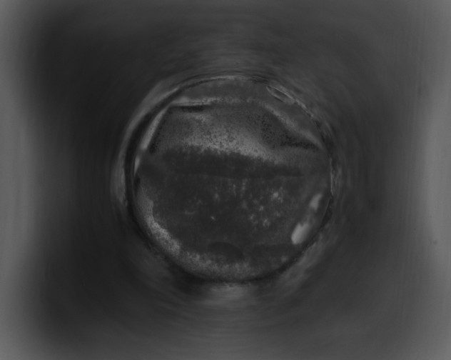 X0000099990198200806061551