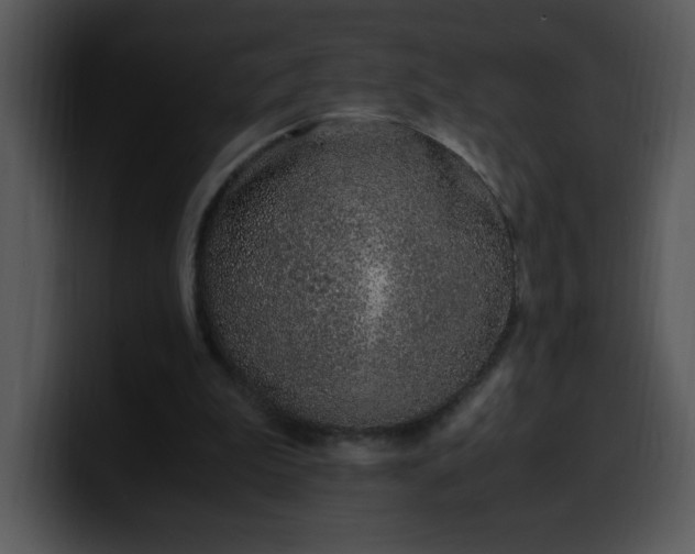 X0000099990199200806061551