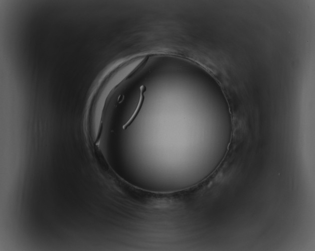 X0000099990200200806061551