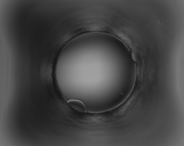 X0000099990201200806061551