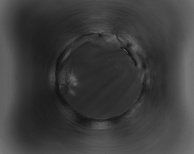 X0000099990202200806061551