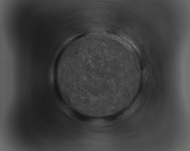 X0000099990203200806061551