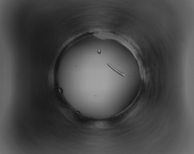 X0000099990204200806061551