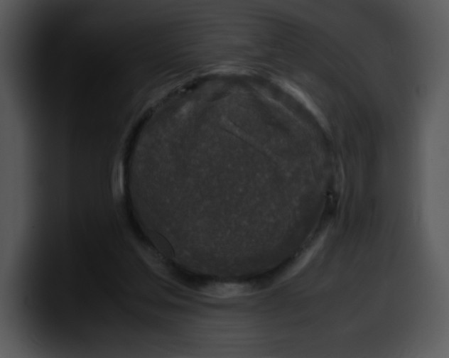 X0000099990205200806061551