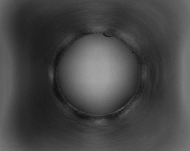 X0000099990206200806061551