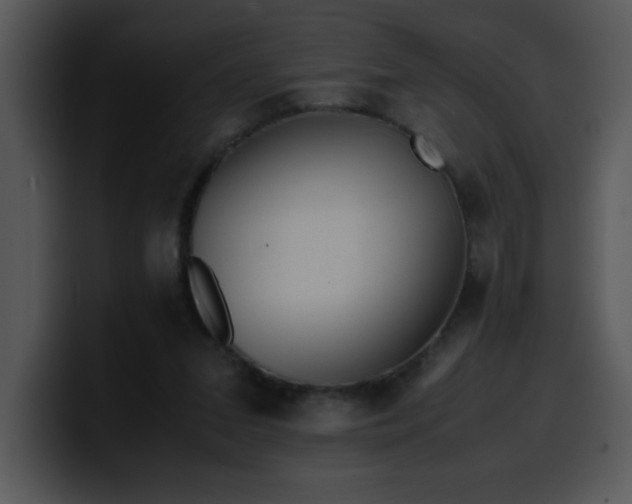 X0000099990207200806061551