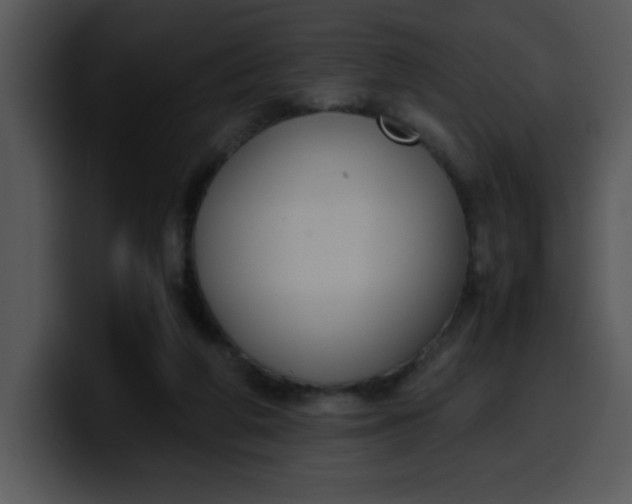 X0000099990210200806061551