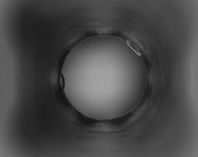 X0000099990211200806061551