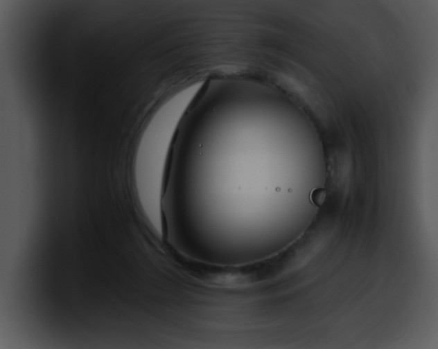 X0000099990212200806061551