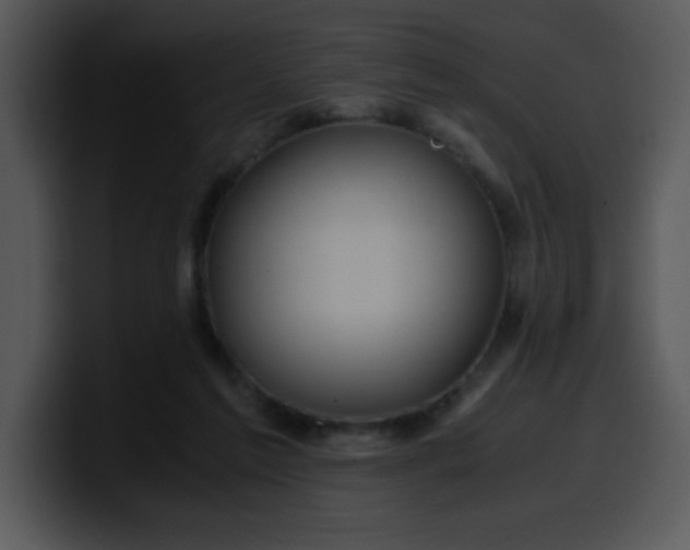 X0000099990213200806061551