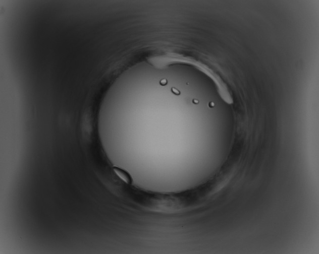 X0000099990215200806061551