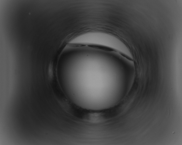 X0000099990216200806061551