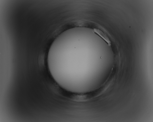 X0000099990217200806061551