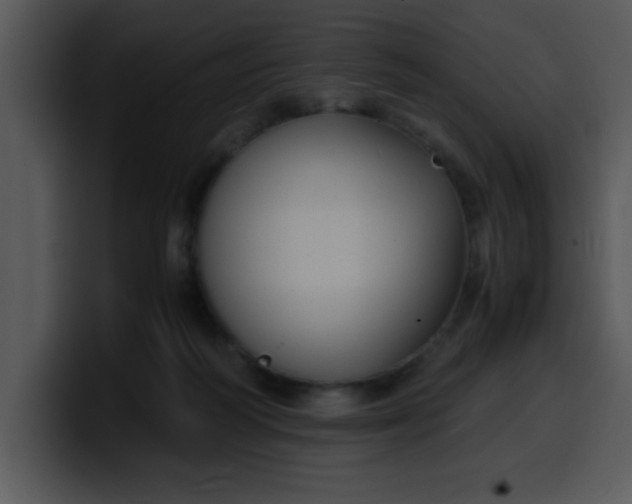 X0000099990218200806061551