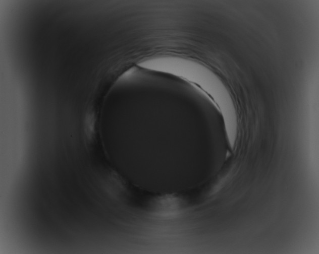 X0000099990219200806061551