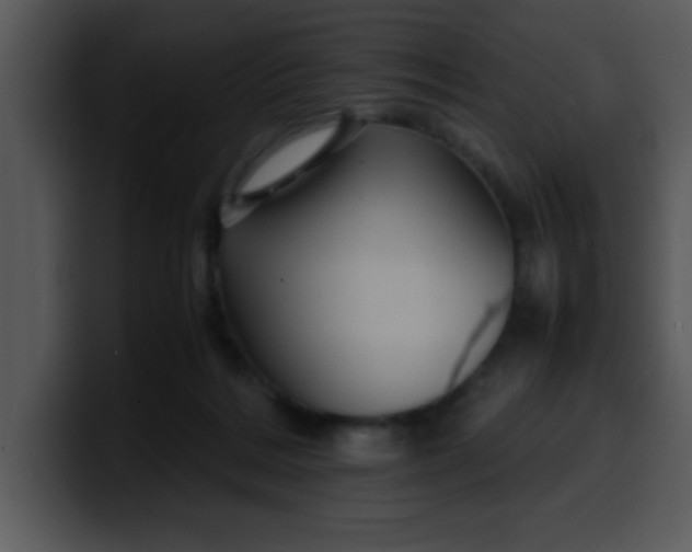 X0000099990220200806061551