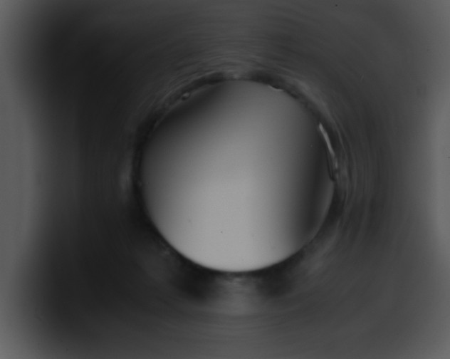 X0000099990221200806061551