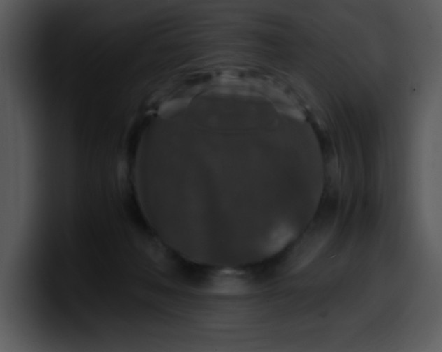 X0000099990222200806061551