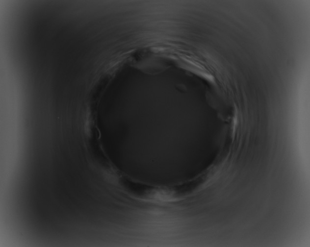 X0000099990223200806061551