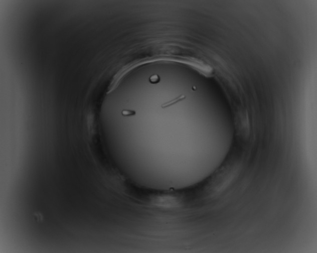 X0000099990224200806061551