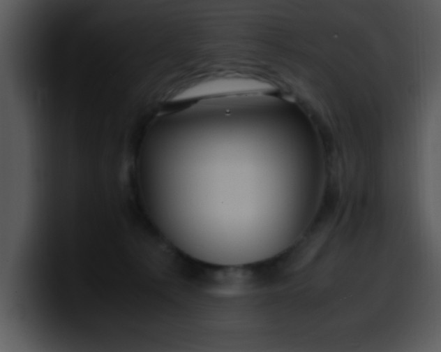 X0000099990225200806061551