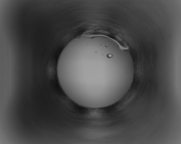 X0000099990226200806061551