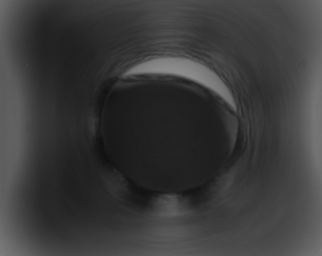 X0000099990227200806061551