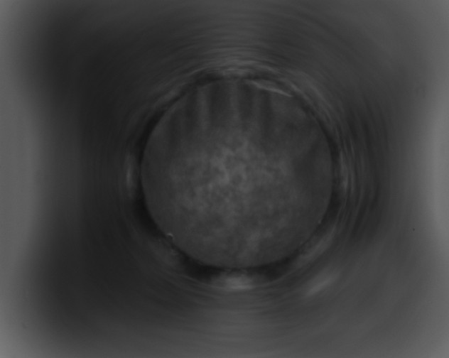 X0000099990228200806061551